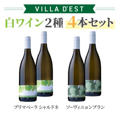 ヴィラデスト 白ワイン 辛口 2種4本セット(プリマベーラ シャルドネ、ソーヴィニョン ブラン)