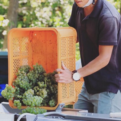 ヴィラデスト 白ワイン 辛口 2種4本セット(プリマベーラ シャルドネ、ソーヴィニョン ブラン)