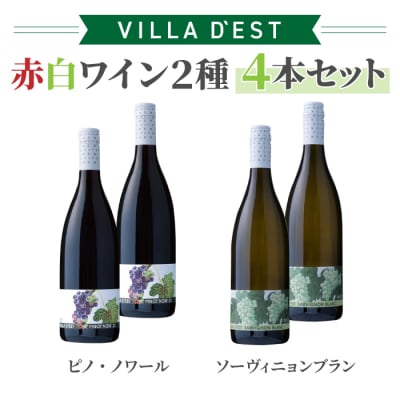 日本ワインコンクール受賞! 赤白ワイン 4本セット|ピノ・ノワール&ソーヴィニヨン ブラン