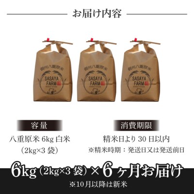 令和7年新米受付【6回定期便】八重原米6kg(2kg×3袋)白米※2025年10月以降発送|笹屋農園