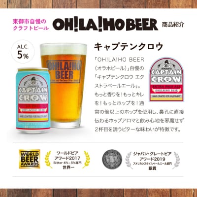 【12回定期便】オラホビール キャプテンクロウ10本