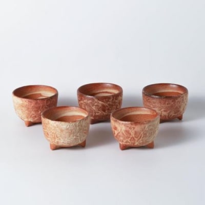 桜井陶房 焼締めしわ文酒器セット