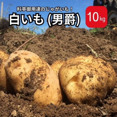 料亭御用達!東御市産白いも10kg|じゃがいも【数量限定】|御牧八重原農園 