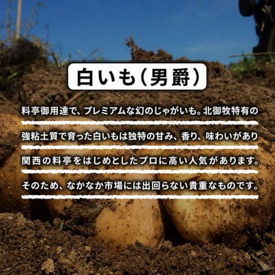 料亭御用達!東御市産白いも10kg|じゃがいも【数量限定】|御牧八重原農園 