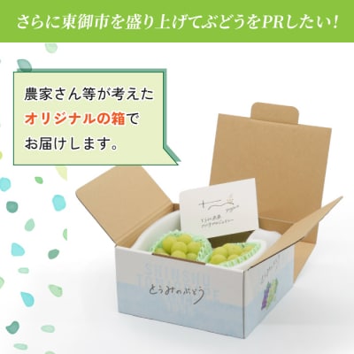 東御市産冬出しシャインマスカット 約1.1kg ※11月下旬～12月中旬頃に順次発送予定 