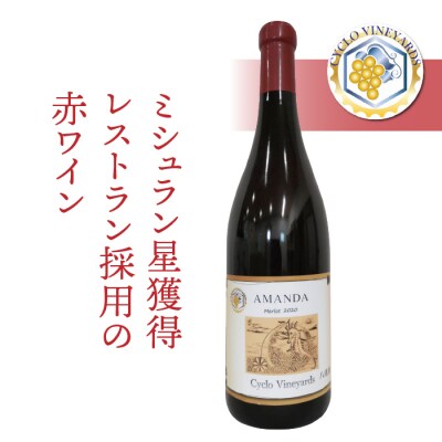 (�N������)�~�V���������l�����X�g�����̗p�̐ԃ��C���y496���C�i���[�z