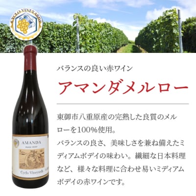 ミシュラン星獲得レストラン採用の赤ワイン【496ワイナリー】