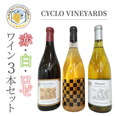 (�N������)496���B�����[�h �v���~�A�����C��3�{�Z�b�g (�ԁE���E���[ �e1�{)