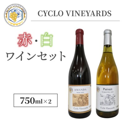 (�N������)�~�V���������l�����X�g�����̗p�̐ԁE�����C���y496���C�i���[�z