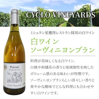 496ヴィンヤード 白ワイン1本(パシュート ソーヴィニヨンブラン)