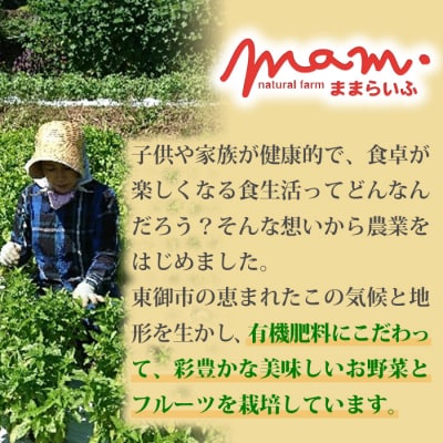 【ナチュラルファームままらいふ】くるみのジェノベーゼ 3個セット