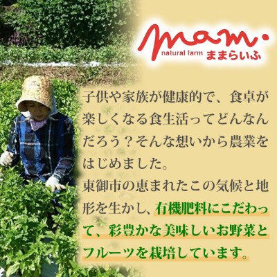 くるみのジェノベーゼ 3個セット【ナチュラルファームままらいふ】