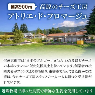 【3回定期便】アトリエ・ド・フロマージュ ミニピザ6枚セット