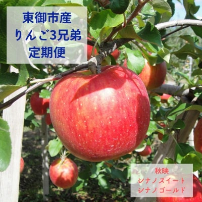 東御市産 りんご3兄弟 定期便 (3kg×3種) 秋映 シナノスイート シナノゴールド