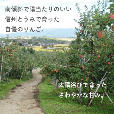 東御市産 りんご3兄弟 定期便 (3kg×3種) 秋映 シナノスイート シナノゴールド