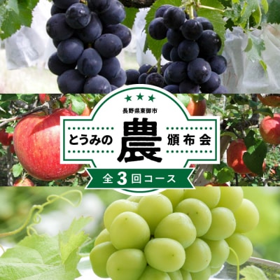 とうみの「農」頒布会(3回コース)　種無し巨峰・シャインマスカット・りんご