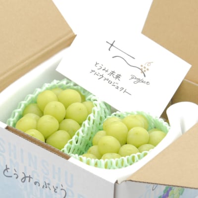 先行受付2026発送【2回定期便】シャインマスカット秋&冬お届け便