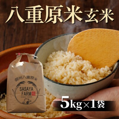 令和8年新米受付!八重原米5kg(5kg×1袋)玄米 ※2026年10月以降順次発送|笹屋農園