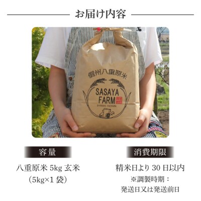 令和8年新米受付!八重原米5kg(5kg×1袋)玄米 ※2026年10月以降順次発送|笹屋農園