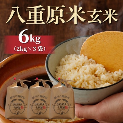 令和7年新米受付!八重原米6kg(2kg×3袋)玄米 ※2025年10月以降順次発送|笹屋農園