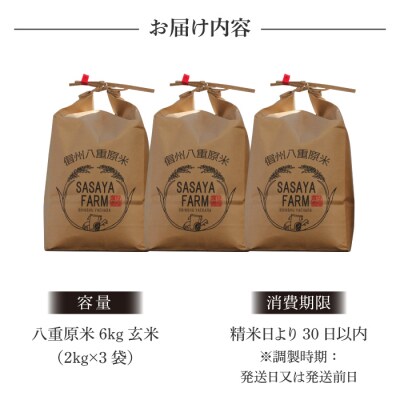 令和8年新米受付!八重原米6kg(2kg×3袋)玄米 ※2026年10月以降順次発送|笹屋農園