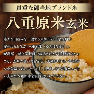 令和7年新米受付!八重原米10kg(5kg×2袋)玄米　※2025年10月以降順次発送|笹屋農園