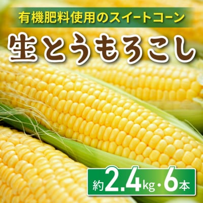 生とうもろこし 2L 6本 有機肥料使用のスイートコーン! 長野県東御市産 ※7月中旬から順次発送予