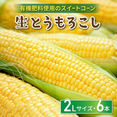 生とうもろこし 2Lサイズ 6本 有機肥料使用のスイートコーン! 長野県東御市産 