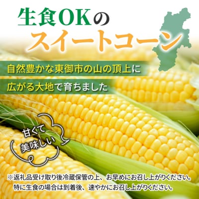 生とうもろこし 2L 6本 有機肥料使用のスイートコーン! 長野県東御市産 ※7月中旬から順次発送予
