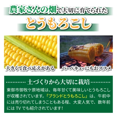 生とうもろこし 2L 6本 有機肥料使用のスイートコーン! 長野県東御市産 ※7月中旬から順次発送予