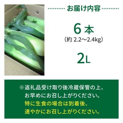 生とうもろこし 2Lサイズ 6本 有機肥料使用のスイートコーン! 長野県東御市産 