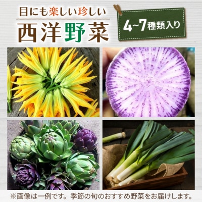 【アグロノーム】お一人様向け、お試し季節のお野菜セット※2024年7月以降発送開始