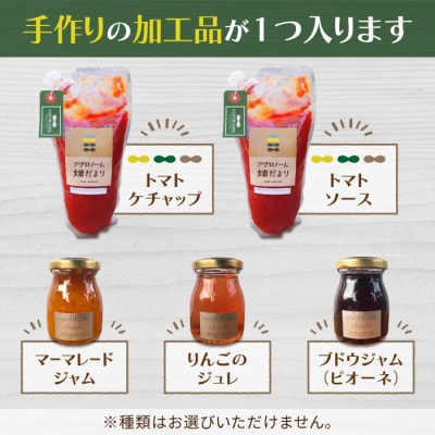 【アグロノーム】お一人様向け、お試し季節のお野菜セット※2024年7月以降発送開始