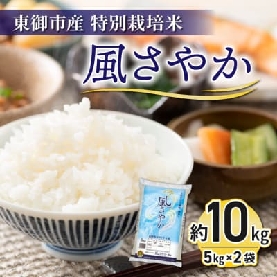 【R7年産新米予約】東御市産の特別栽培米「風さやか」約10kg