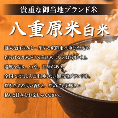 令和7年新米受付【12回定期便】八重原米2kg(2kg×1袋)白米※2025年10月以降発送