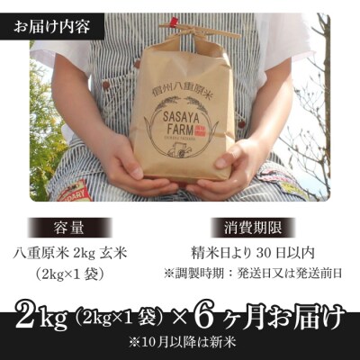 令和8年新米受付【6回定期便】八重原米2kg(2kg×1袋)玄米※2026年10月以降発送|笹屋農園