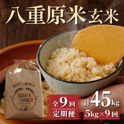 令和8年新米受付【9回定期便】八重原米5kg(5kg×1袋)玄米※2026年10月以降発送|笹屋農園