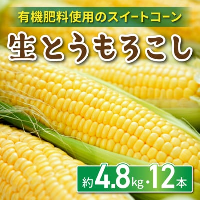 生とうもろこし 2L 12本 有機肥料使用のスイートコーン!長野県東御市産 ※7月中旬から順次発送予