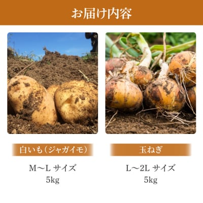 【先行受付2025年発送予定】白いも(M〜Lサイズ)と玉ねぎ(L〜2Lサイズ)各5㎏