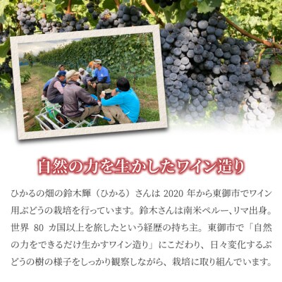 【ひかるの畑】赤ワイン・ロゼワイン 3本セット