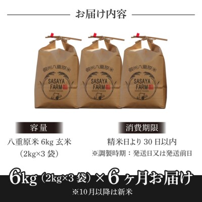 令和7年新米受付【6回定期便】八重原米6kg(2kg×3袋)玄米※2025年10月以降発送|笹屋農園