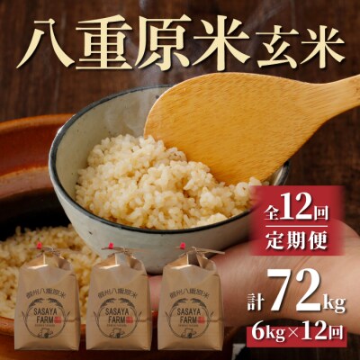 令和7年新米受付【12回定期便】八重原米6kg(2kg×3)玄米※2025年10月以降発送|笹屋農園