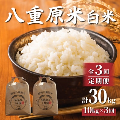 令和7年新米受付【3回定期便】八重原米10kg(5kg×2)白米※2025年10月以降発送|笹屋農園