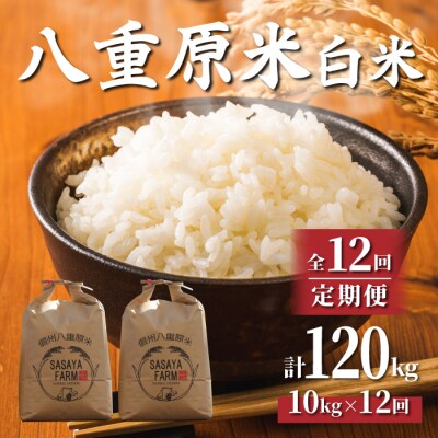 令和7年新米受付【12回定期便】東御市産八重原米10kg(白米)※2025年10月以降発送|笹屋農園