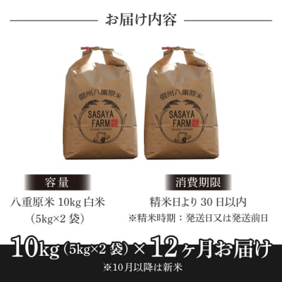 令和8年新米受付【12回定期便】東御市産八重原米10kg(白米)※2026年10月以降発送|笹屋農園