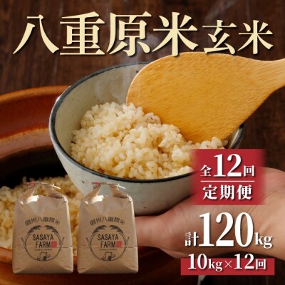 令和7年新米受付【12回定期便】八重原米10kg玄米※2025年10月以降発送|笹屋農園