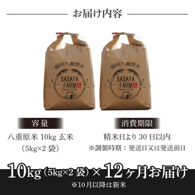 令和8年新米受付【12回定期便】八重原米10kg玄米※2026年10月以降発送|笹屋農園