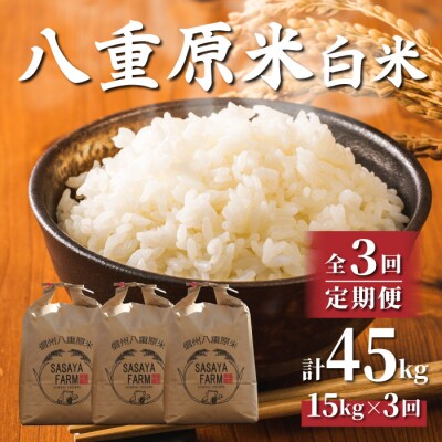 令和8年新米受付【3回定期便】八重原米15kg(5kg×3)白米※2026年10月以降発送|笹屋農園