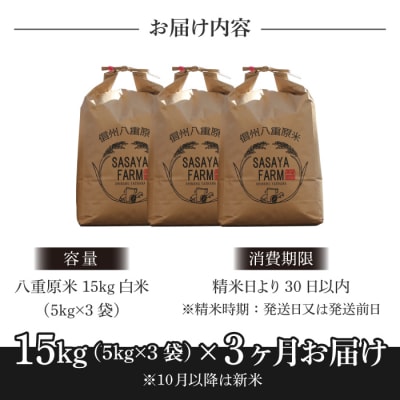 令和7年新米受付【3回定期便】八重原米15kg(5kg×3)白米※2025年10月以降発送|笹屋農園