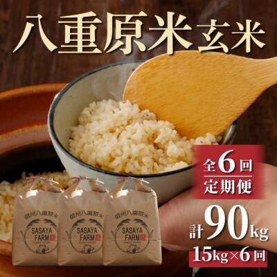 令和7年新米受付【6回定期便】八重原米15kg(5kg×3)玄米※2025年10月以降発送|笹屋農園